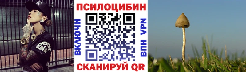 Псилоцибиновые грибы Psilocybine cubensis  что такое наркотик  Макарьев 